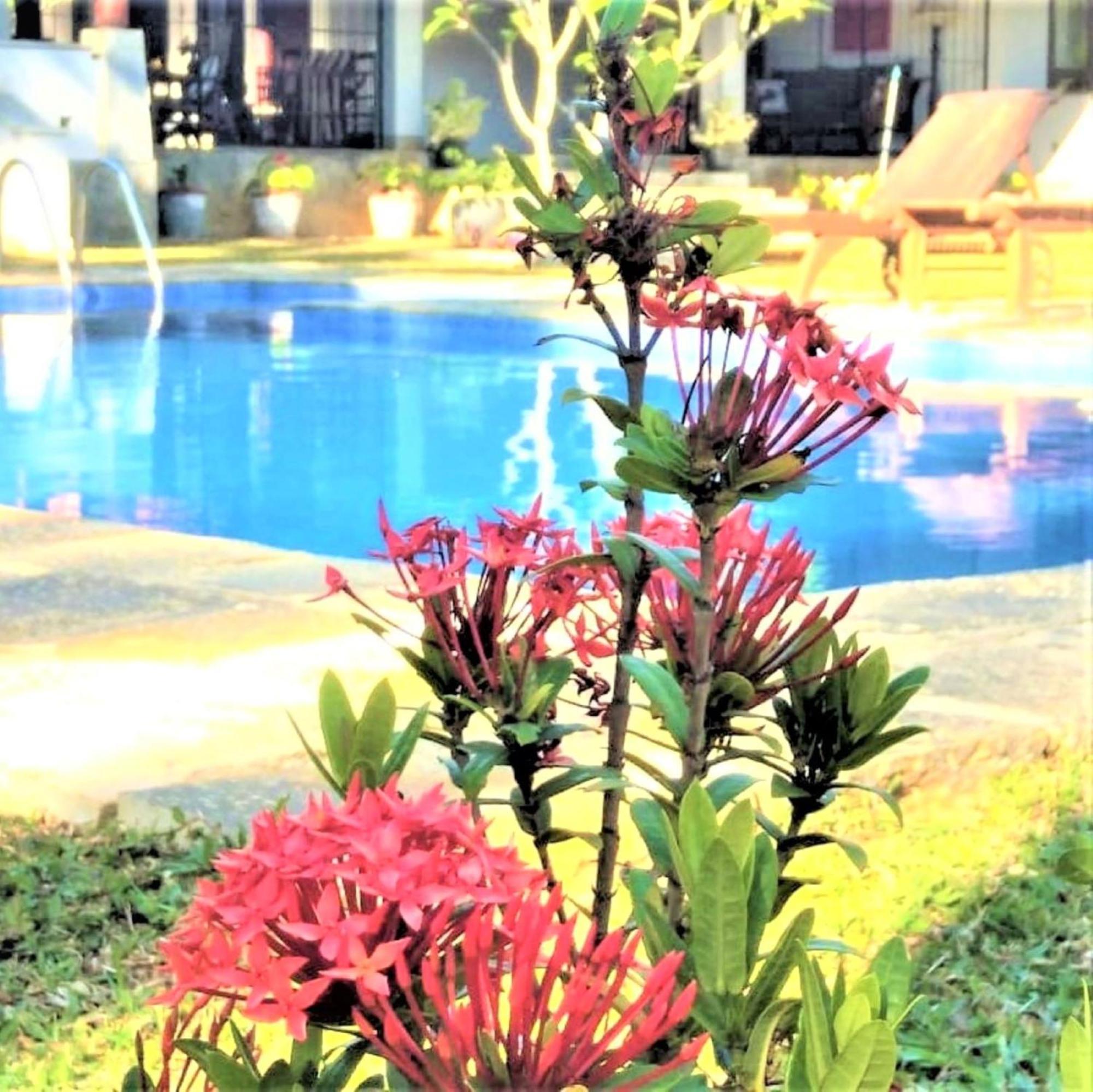 Ardeen Villa - Superb 3 Bedroom Beachfront For 6, Bb, Free Pick Up For 7 Night Stays Arriving Together, Fully Serviced, Taxes Included Тангалла Экстерьер фото